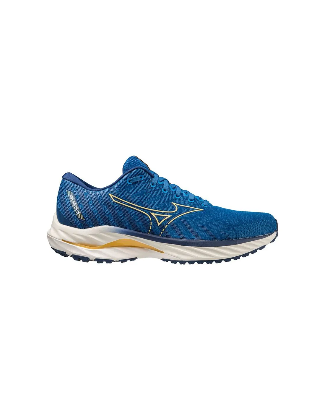 Zapatillas de Running Mizuno Wave Inspire 19 Azul Hombre